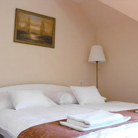 Centrum Panzio Pensjonat 4*