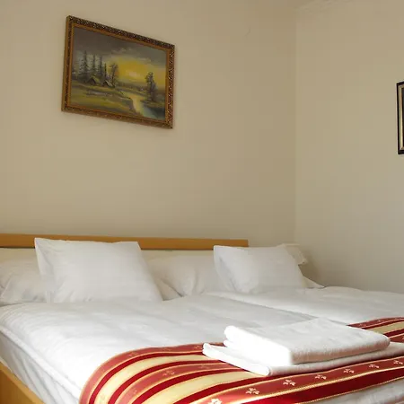 Guest house Centrum Panzio 2*