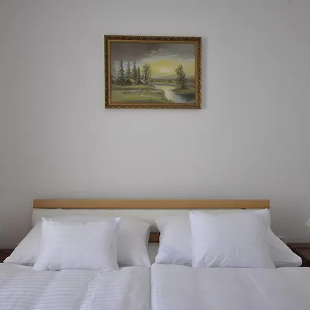 Centrum Panzio Konukevi 4*