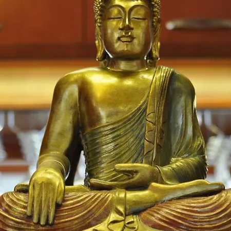 招待所 Centrum Panzio