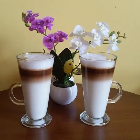 Centrum Panzio 4* Szentendre