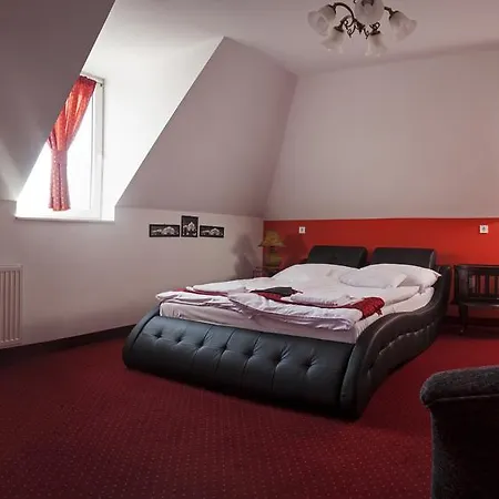 招待所 Centrum Panzio