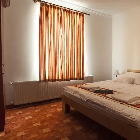 招待所 Centrum Panzio