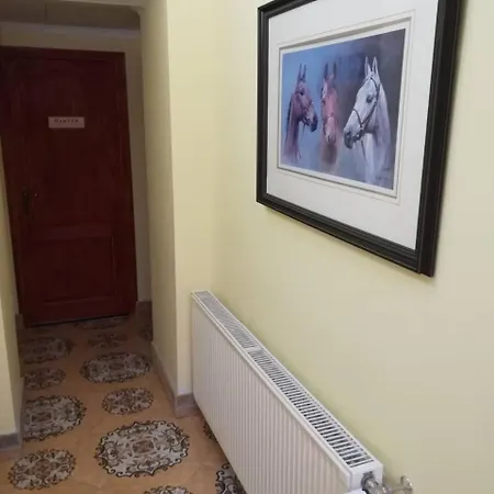 Centrum Panzio Pensjonat 4*