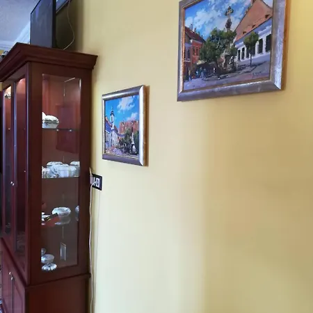 Guest house Centrum Panzio 4*