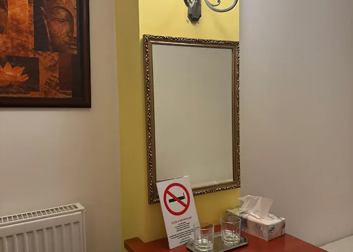 Pensionat Centrum Panzio