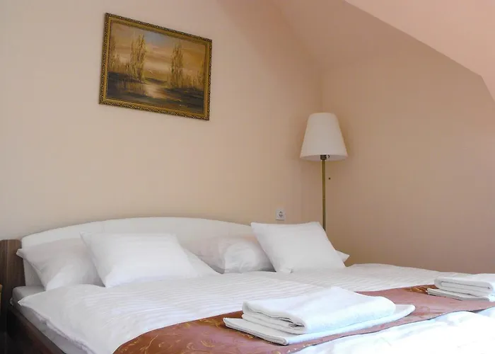 Centrum Panzio Pensionat 4*
