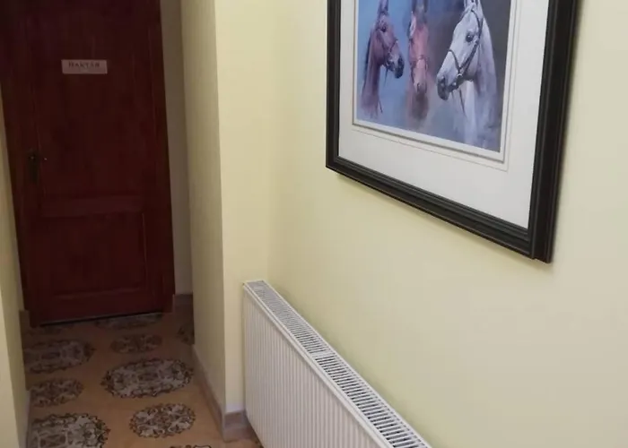 Centrum Panzio Konukevi 4*